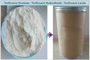 Купить норфлоксацин гидрохлорид с доставкой